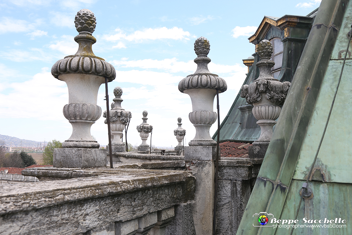 VBS_5999 - Sotto il Cervo - Palazzina di Caccia di Stupinigi.jpg